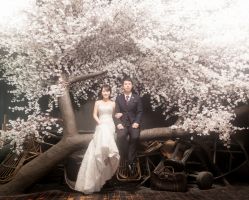 -艺匠摄影ARTIZ STUDIO(南京店)