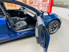 -TESLA 特斯拉(郑州正弘城体验店)