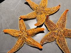 -寻岸·活鲜主题自助(大悦城店)