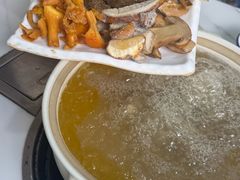 -蘑统田下·野生菌火锅