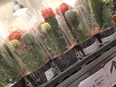 -宜家家居(高新商场店)