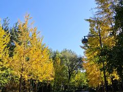 -中家鑫园温泉酒店鑫悦汤泉