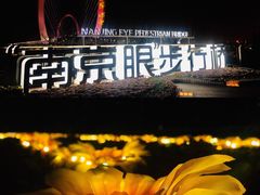 -南京眼步行桥