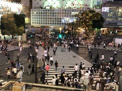 -涩谷全向十字路口