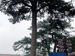 -妙峰山风景名胜区