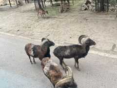 -乐和乐都主题乐园
