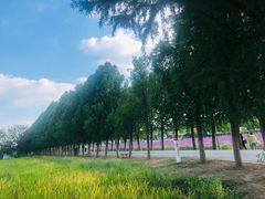 -嘉北郊野公园