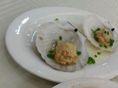 扇贝-新享乐海鲜(翠华路店)