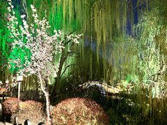 -济南大明湖景区