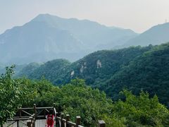 -大岭沟猕猴桃谷风景区