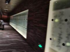 -粤尚腾香居中餐厅(首都机场希尔顿店)