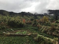 -塔川景区