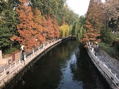 -山东政协大厦维景大酒店
