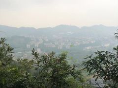 -南山植物园