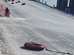 -沈阳奥体冰雪嘉年华