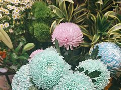 -谷莠子花艺气球派对·绿植造景·花艺沙龙(东海缤纷天地店)