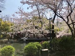-西湖游船