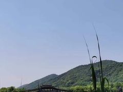 -长广溪湿地公园