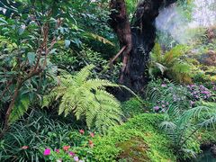 -Chom Cafe and Restaurant