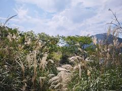 -浙西天池景区