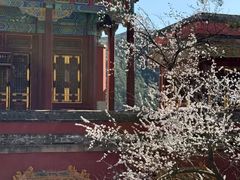 -须弥福寿之庙