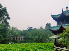 -桂湖森林公园