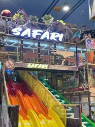 -卡通尼·Safari非洲探索乐园·生日会(金桥国际商业广场店)