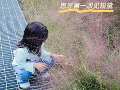 -昆山城市生态森林公园