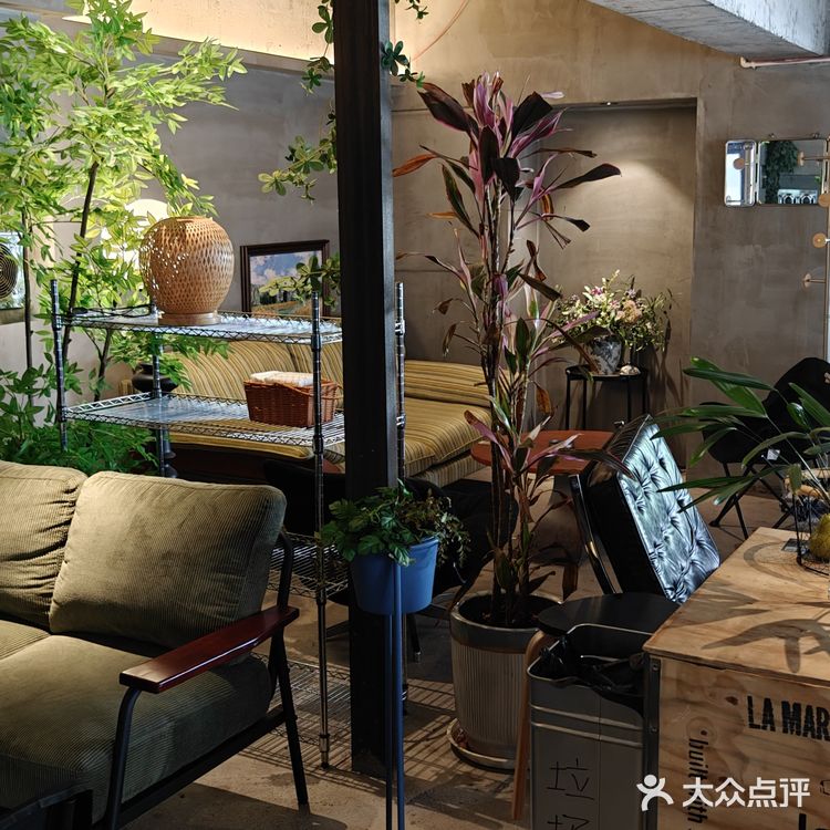 我的咖啡品鉴日记