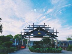 -荷塘月色湿地公园·向阳花洲