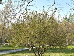 -汉长安城未央宫国家考古遗址公园