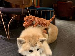 -BOCATA 西班牙餐厅(三里屯店)