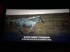 -首都电影院(天津店 中国巨幕)