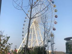 -琴岛之星摩天轮