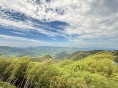 -莫干山风景区
