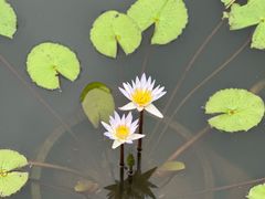 -云溪植物园