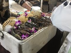 -凤城·食都