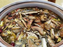 -东巴谷野生菌火锅餐厅