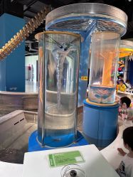 -北京科学中心儿童乐园