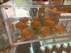 -万达瑞华酒店美食汇自助餐厅(楚河汉街店)