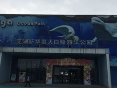 -芜湖新华联大白鲸海洋公园