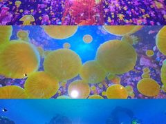 -海合安天津极地海洋公园