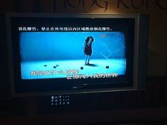 李艳冰-为爱犯了罪-环球梦主题KTV(曲阳生活购物中心店)