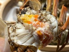 -杨氏青龙虾·羊蝎子(托乐嘉店)