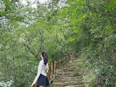 -济南市白马山小学