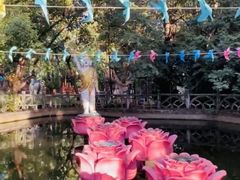 -瑞丽独树成林风景区