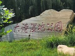 -大港湿地公园