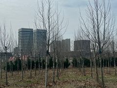 -西海岸生态观光园