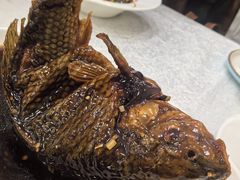 挣蹦鲤鱼-奥华餐厅·老张记(台基厂店)