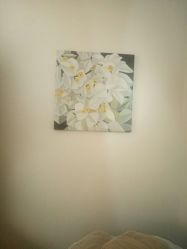 -必瘦站
